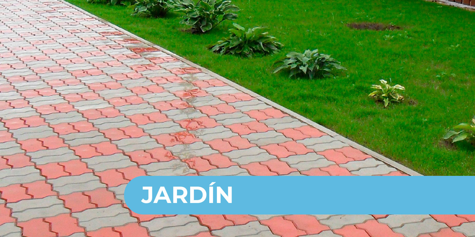 Jardin