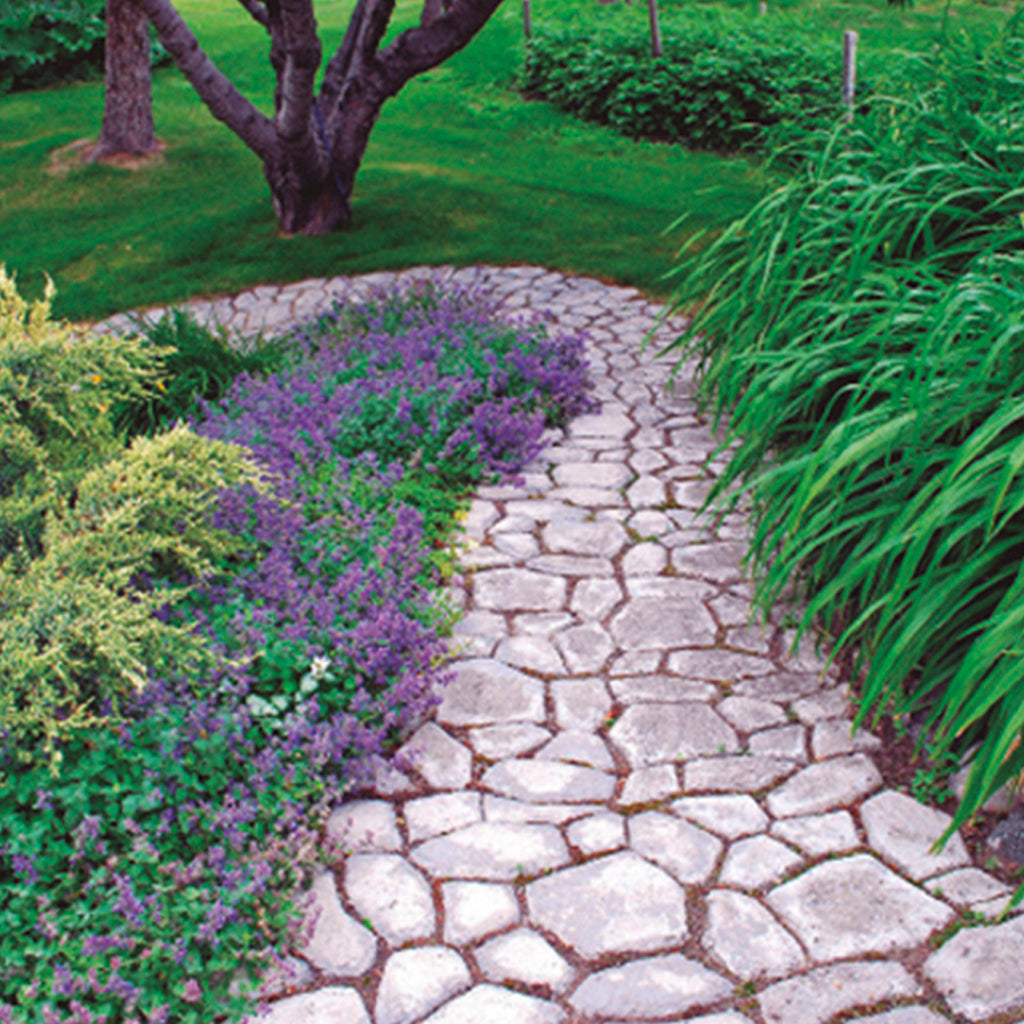 Molde Sendero Para Jardín Irregular 50X50 CM