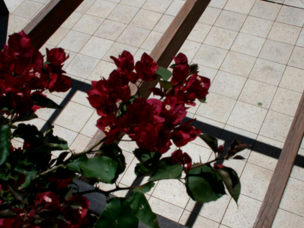 Molde para Travertino 40x40