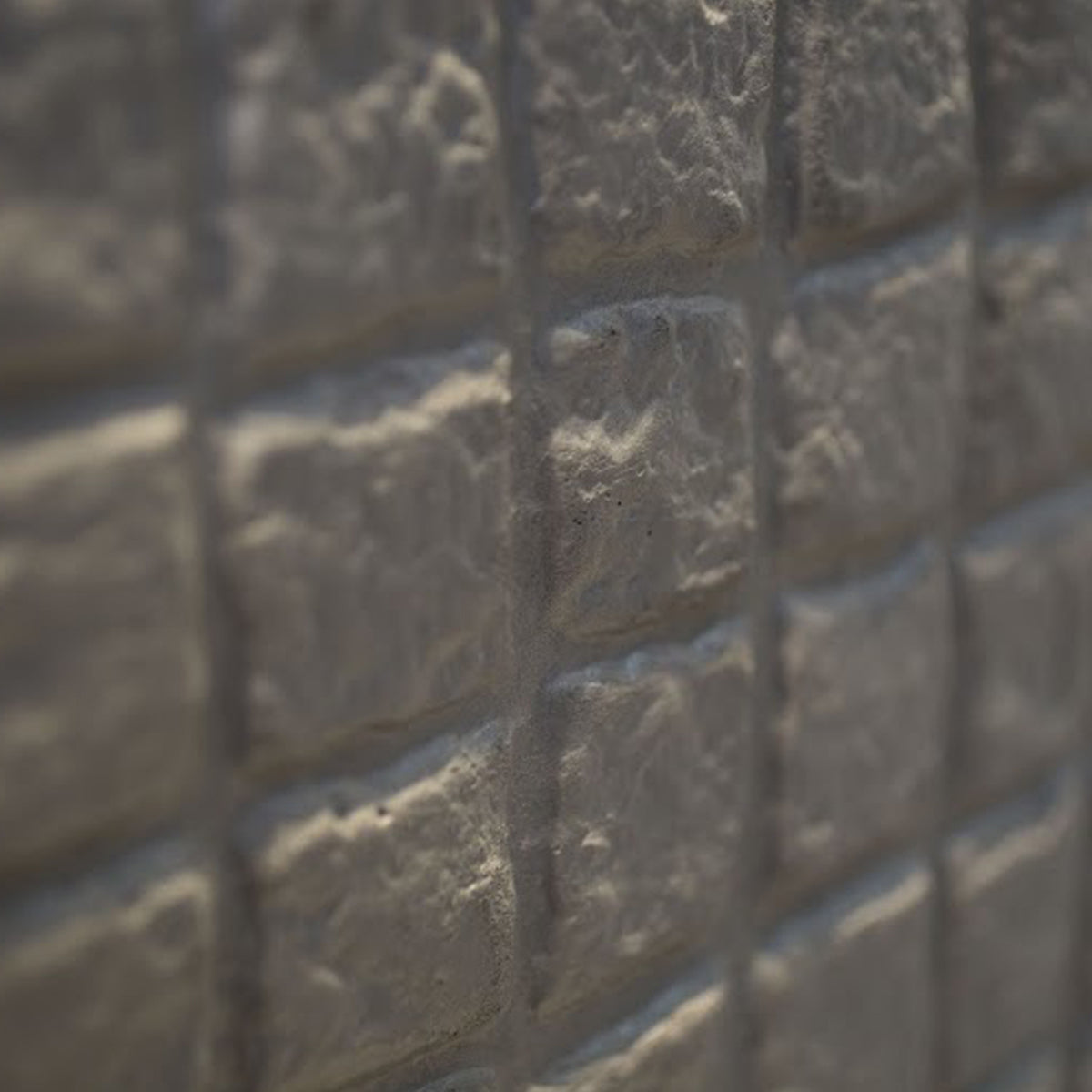 Molde para Adoquín Recto Chico